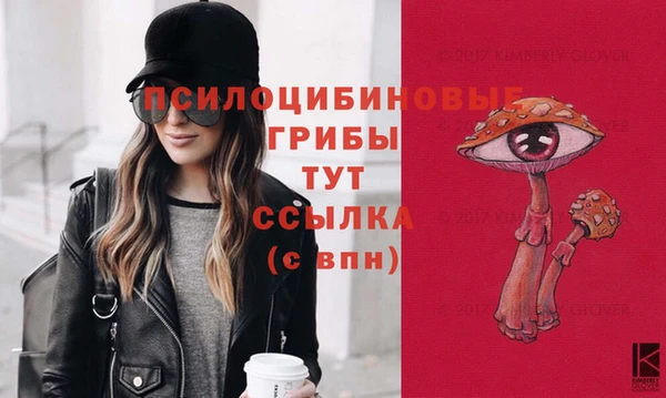 эйфоретик Алексин