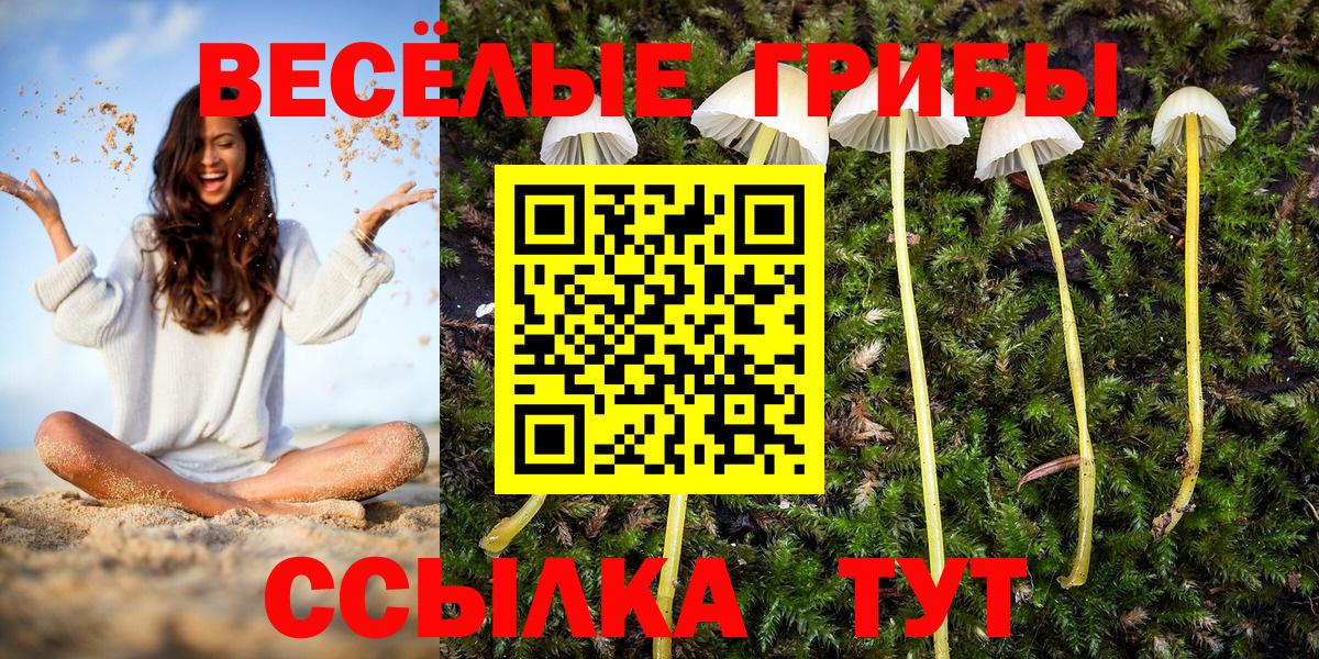 Галлюциногенные грибы прущие грибы Апшеронск