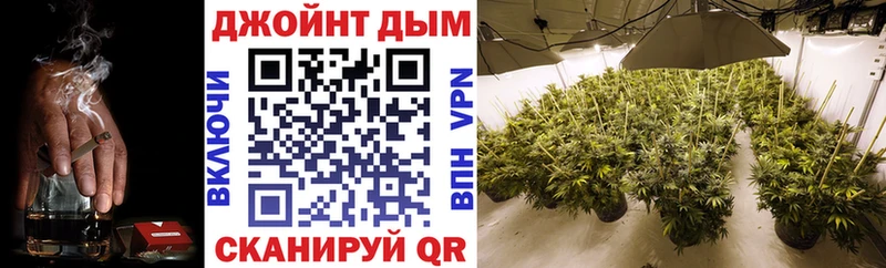 Каннабис конопля Апшеронск